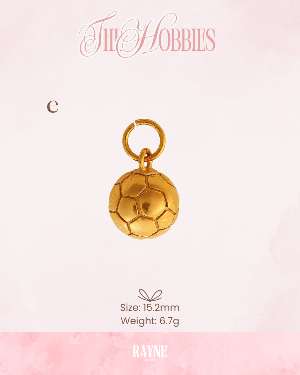 THE HOBBIES  Charms