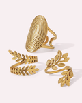 Daily Rings