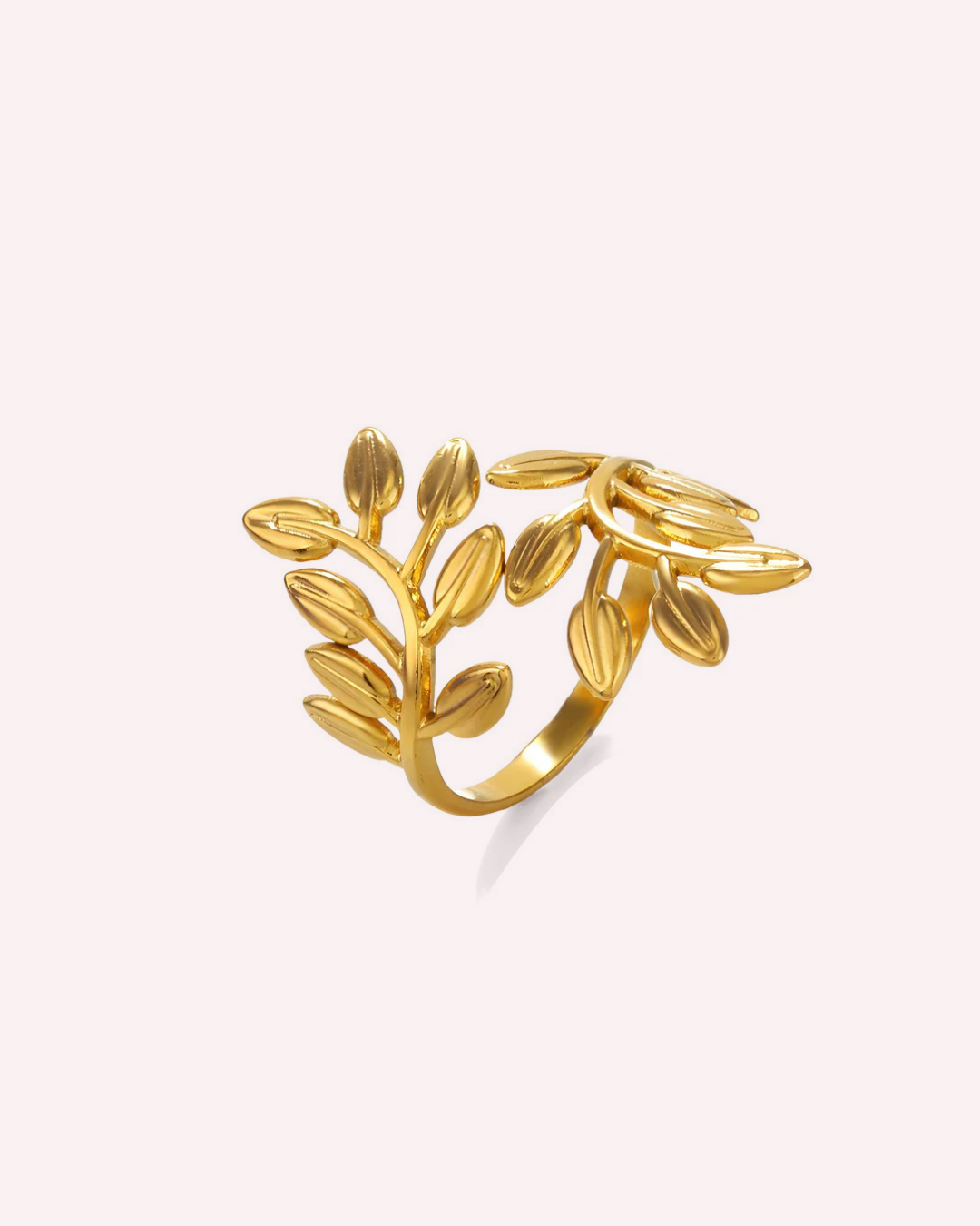 Daily Rings