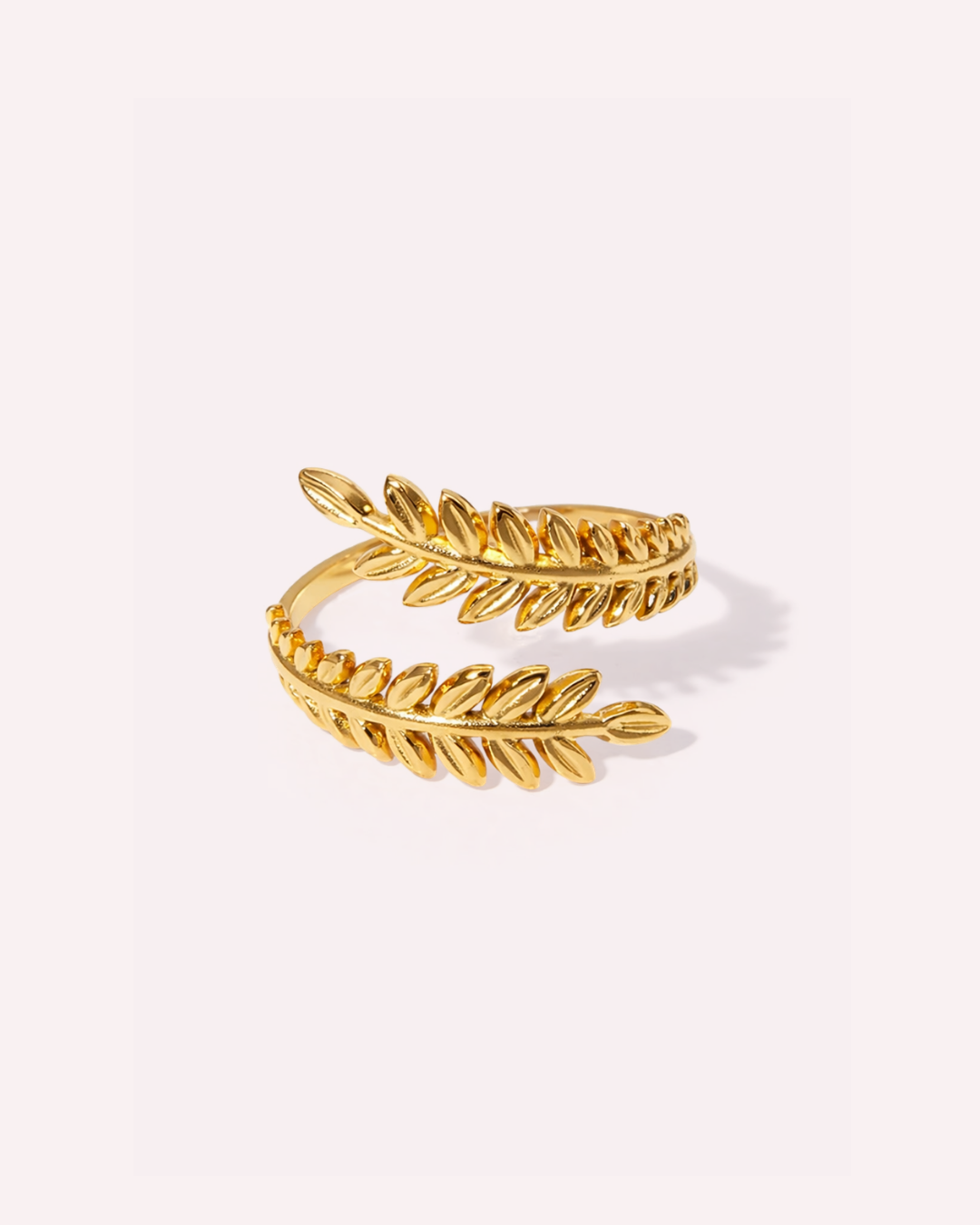 Daily Rings
