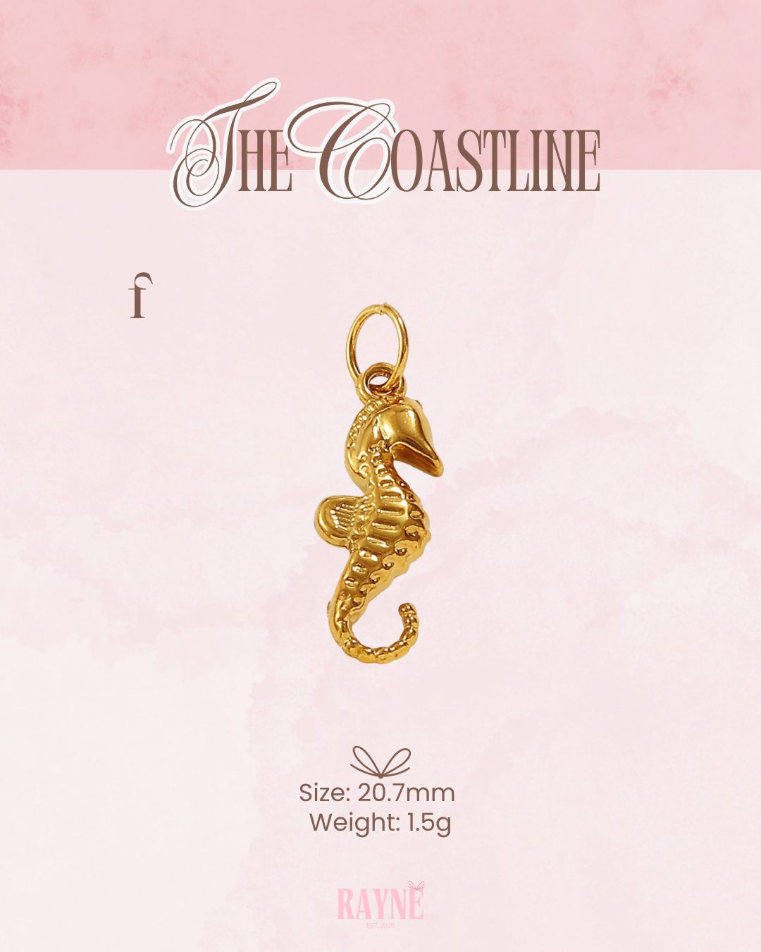 THE COASTLINE Charms