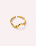 Andy Ring